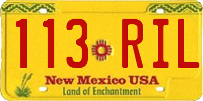 NM license plate 113RIL