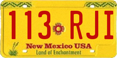 NM license plate 113RJI