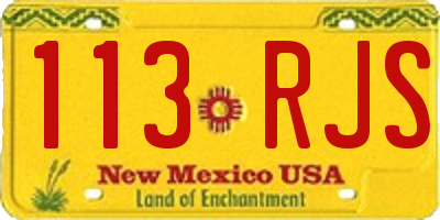 NM license plate 113RJS