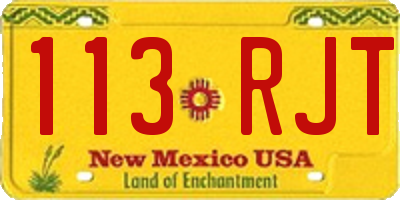 NM license plate 113RJT