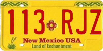 NM license plate 113RJZ
