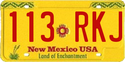 NM license plate 113RKJ