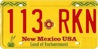 NM license plate 113RKN