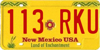 NM license plate 113RKU