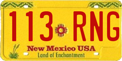 NM license plate 113RNG