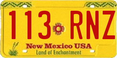 NM license plate 113RNZ