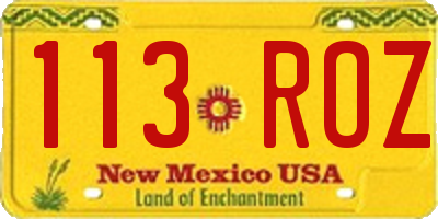 NM license plate 113ROZ