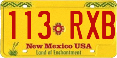 NM license plate 113RXB