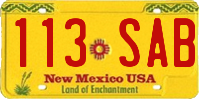 NM license plate 113SAB