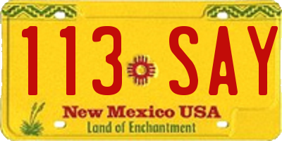 NM license plate 113SAY