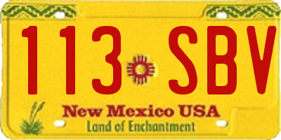 NM license plate 113SBV