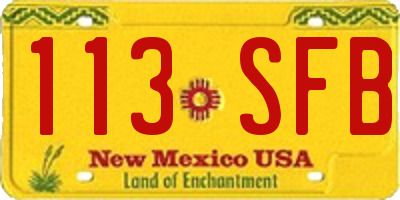 NM license plate 113SFB