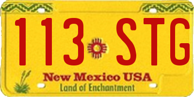 NM license plate 113STG