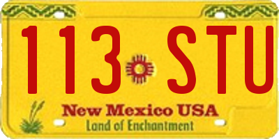 NM license plate 113STU