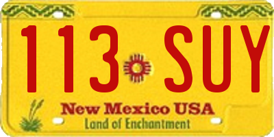 NM license plate 113SUY