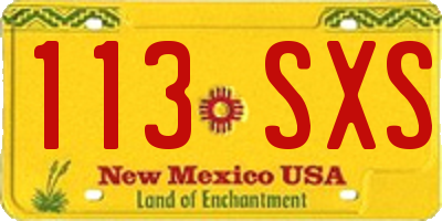 NM license plate 113SXS