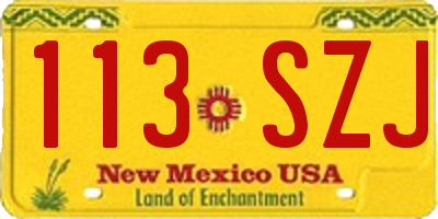 NM license plate 113SZJ