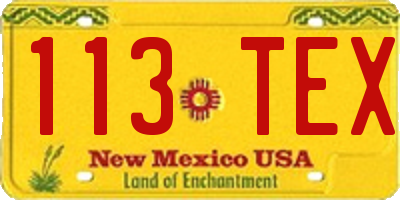 NM license plate 113TEX