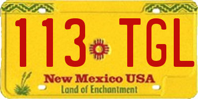NM license plate 113TGL