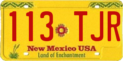 NM license plate 113TJR