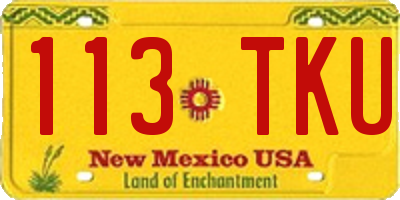NM license plate 113TKU