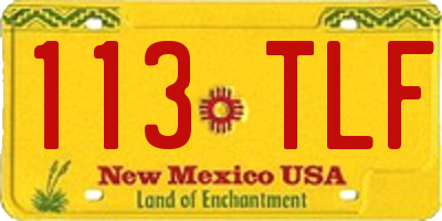 NM license plate 113TLF