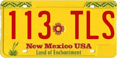 NM license plate 113TLS