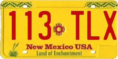 NM license plate 113TLX