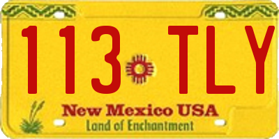 NM license plate 113TLY