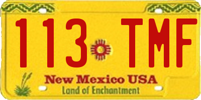 NM license plate 113TMF