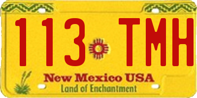 NM license plate 113TMH