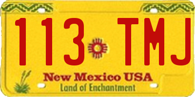 NM license plate 113TMJ