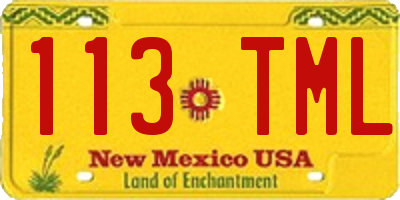 NM license plate 113TML