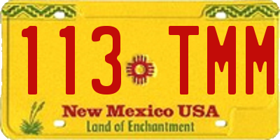 NM license plate 113TMM