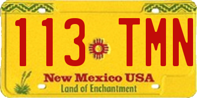 NM license plate 113TMN
