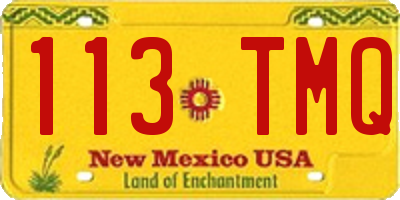 NM license plate 113TMQ