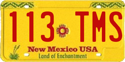NM license plate 113TMS
