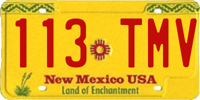 NM license plate 113TMV