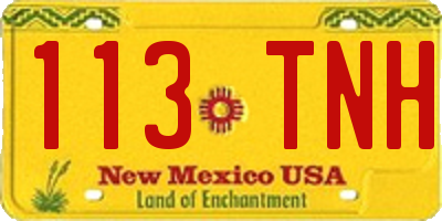 NM license plate 113TNH