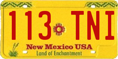 NM license plate 113TNI