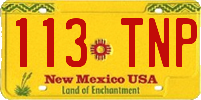 NM license plate 113TNP