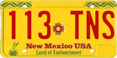 NM license plate 113TNS