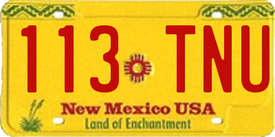 NM license plate 113TNU