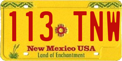 NM license plate 113TNW