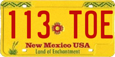 NM license plate 113TOE