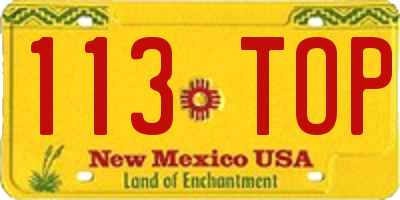NM license plate 113TOP