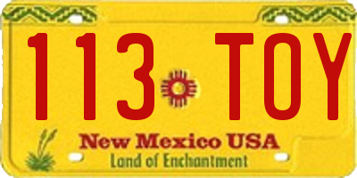 NM license plate 113TOY