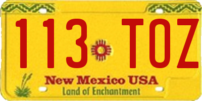NM license plate 113TOZ
