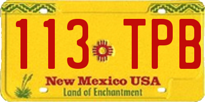 NM license plate 113TPB