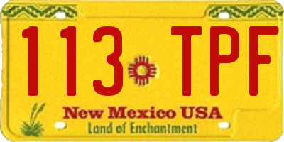 NM license plate 113TPF